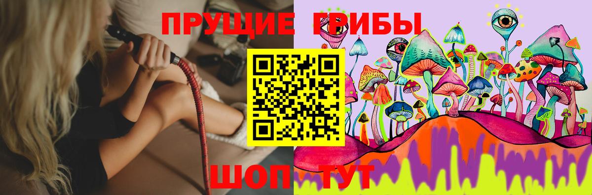 Псилоцибиновые грибы MAGIC MUSHROOMS Печора